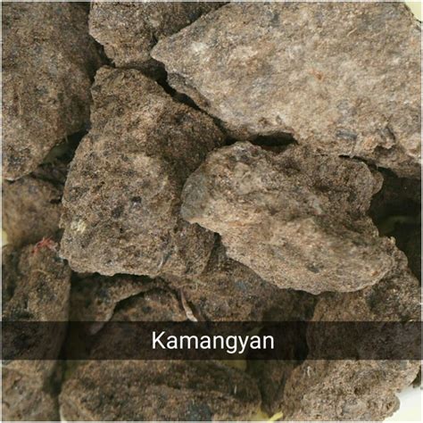 kamangyan bold